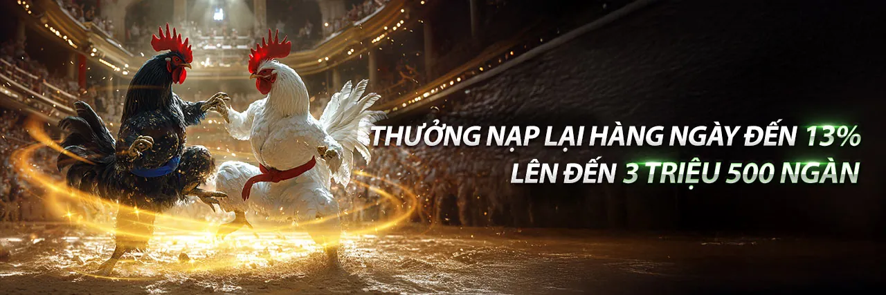 Sân đấu đá gà trực tuyến kịch tính tại Galaxy 6623